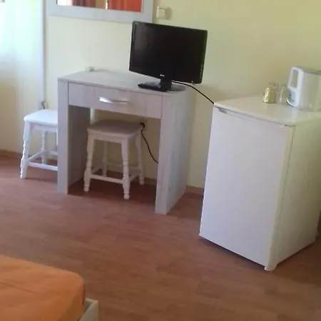 Guest house Вила Русеви *