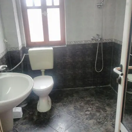 Вила Русеви Guest house *